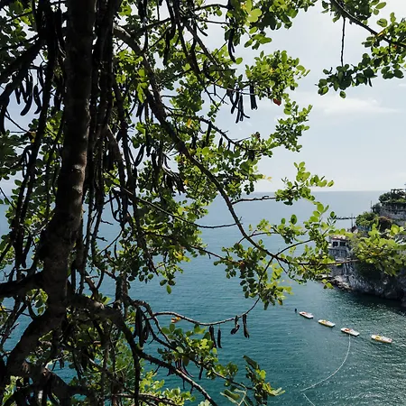 Cetus 4*